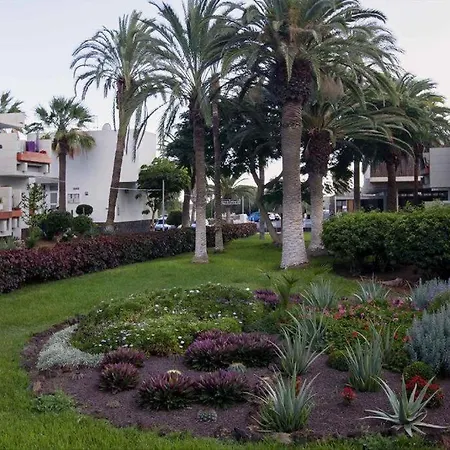 Tenerife Primavera Holiday home Arona (Tenerife)